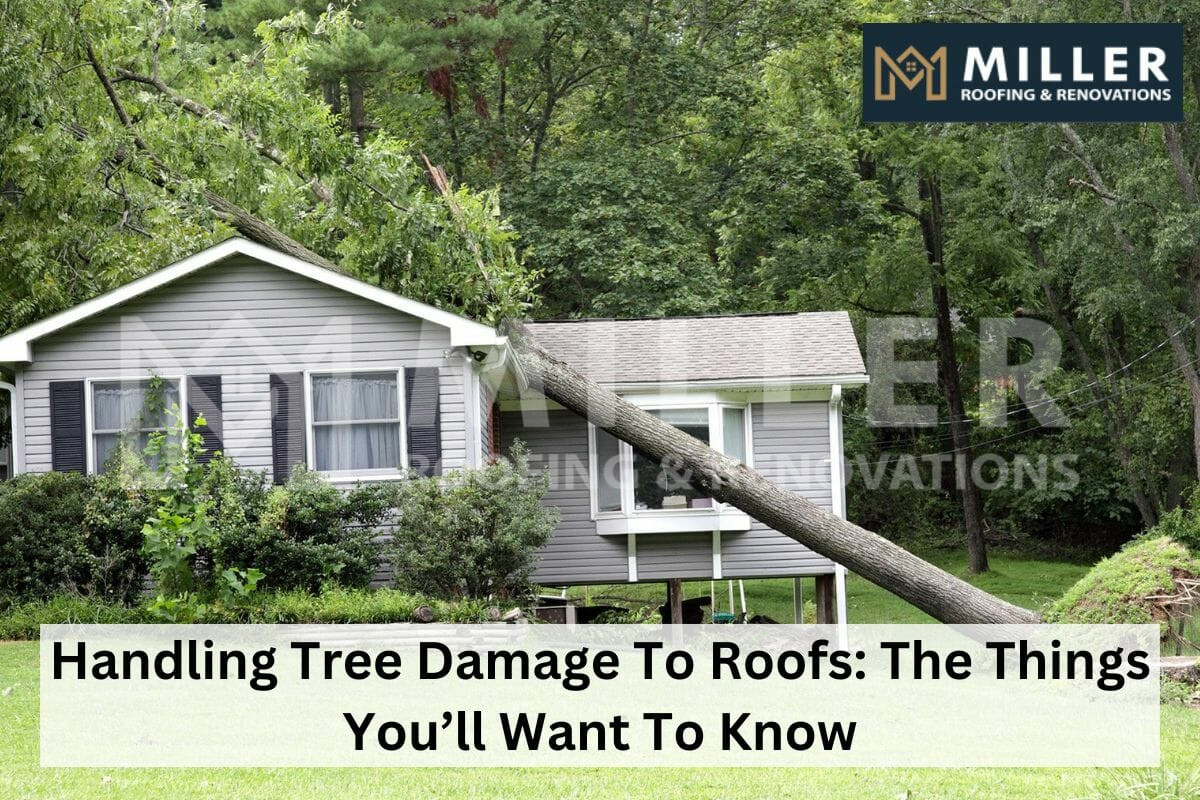 tree damage to roof