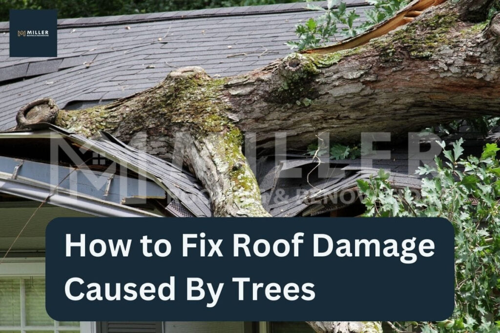 tree roof damage
