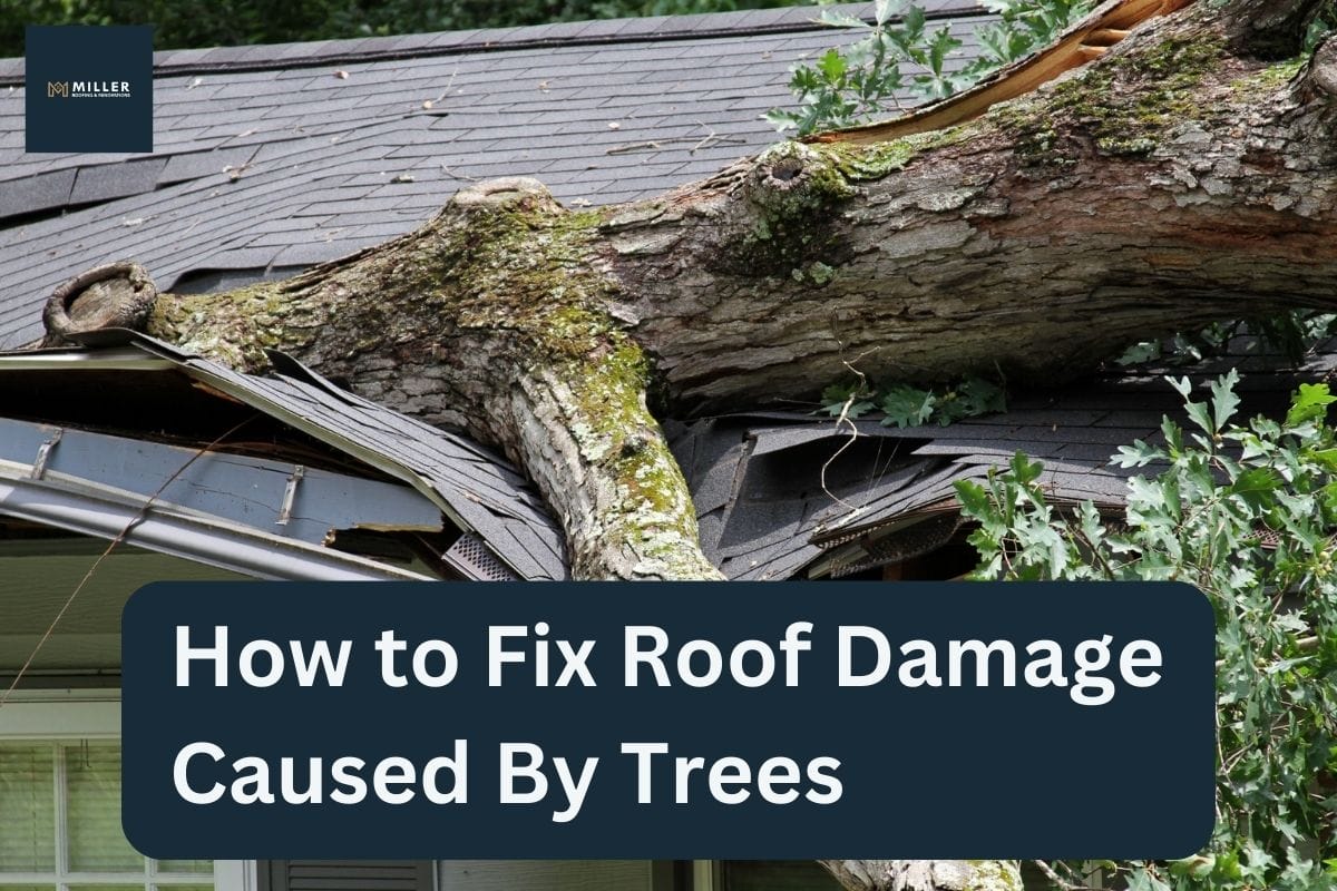 How to Fix Roof Damage Caused By Trees