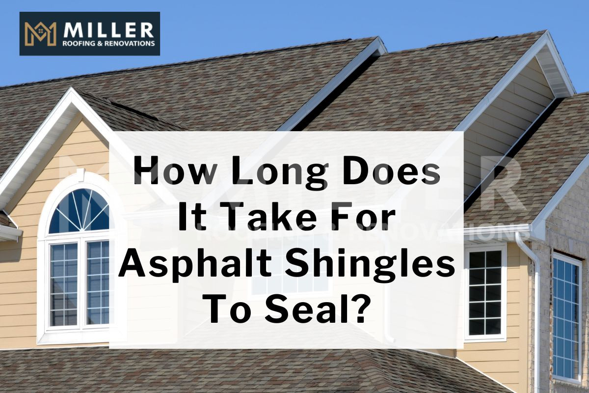 Asphalt Shingles roof