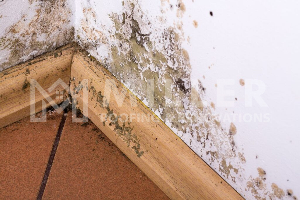 Interior Moisture and Mold