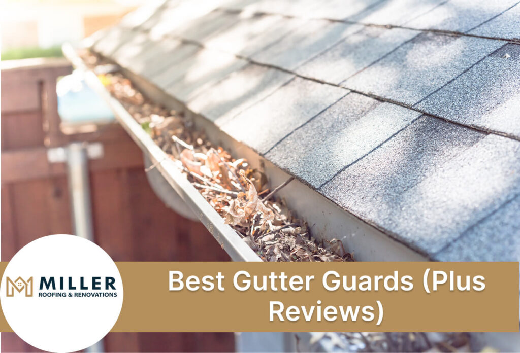 Gutter filled with leaves and debris under a sunny roof