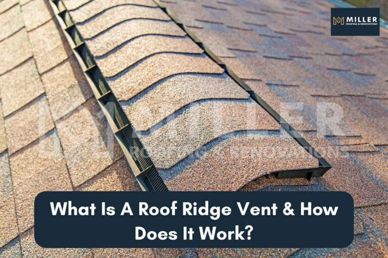 Plain Ridges Roof A Simple Guide To Roof Ridges For Homeowners (2026)