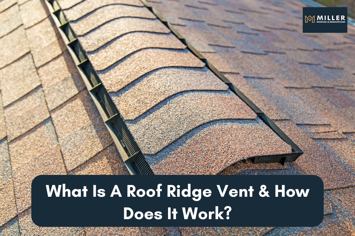 roof ridge vent