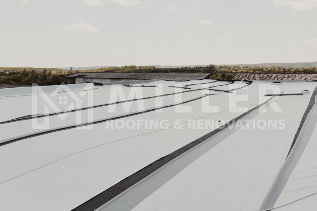 TPO Roof