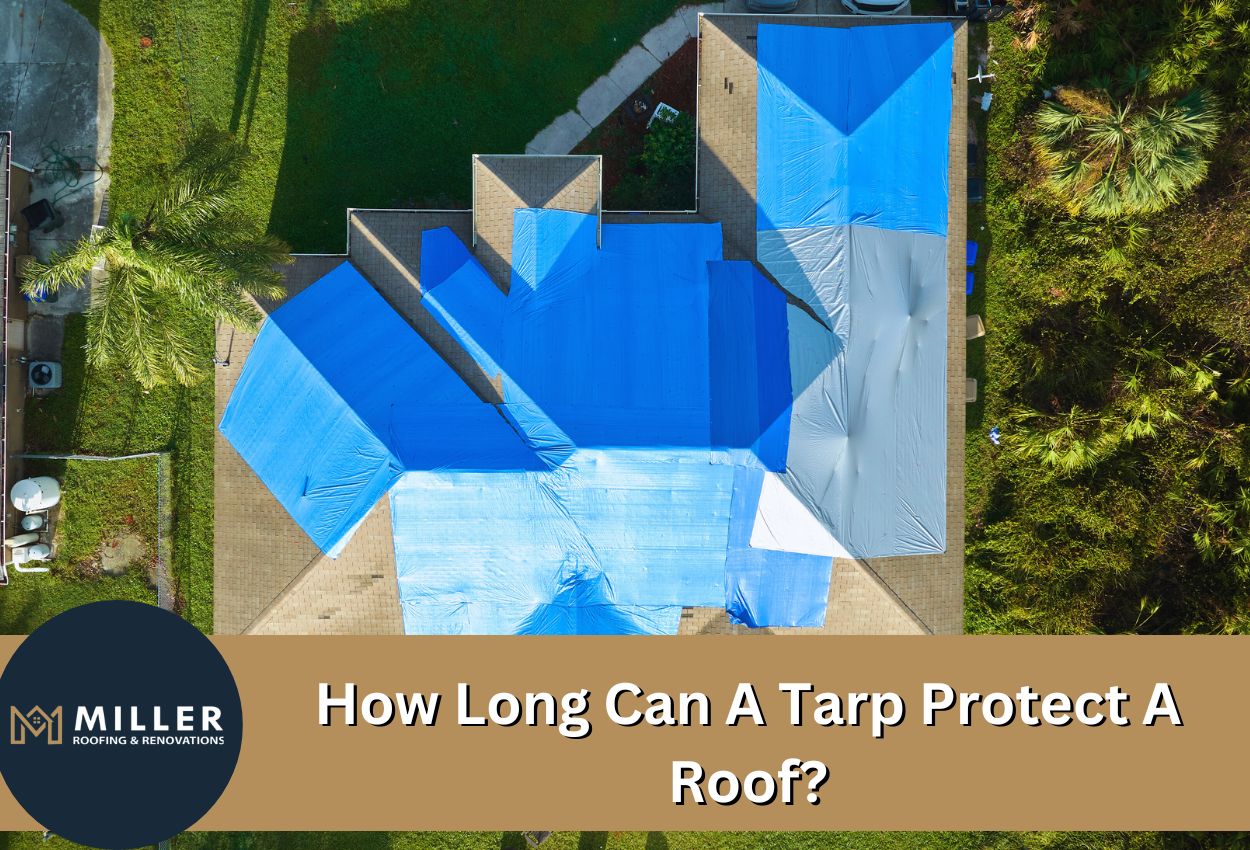 how long can a tarp protect a roof​