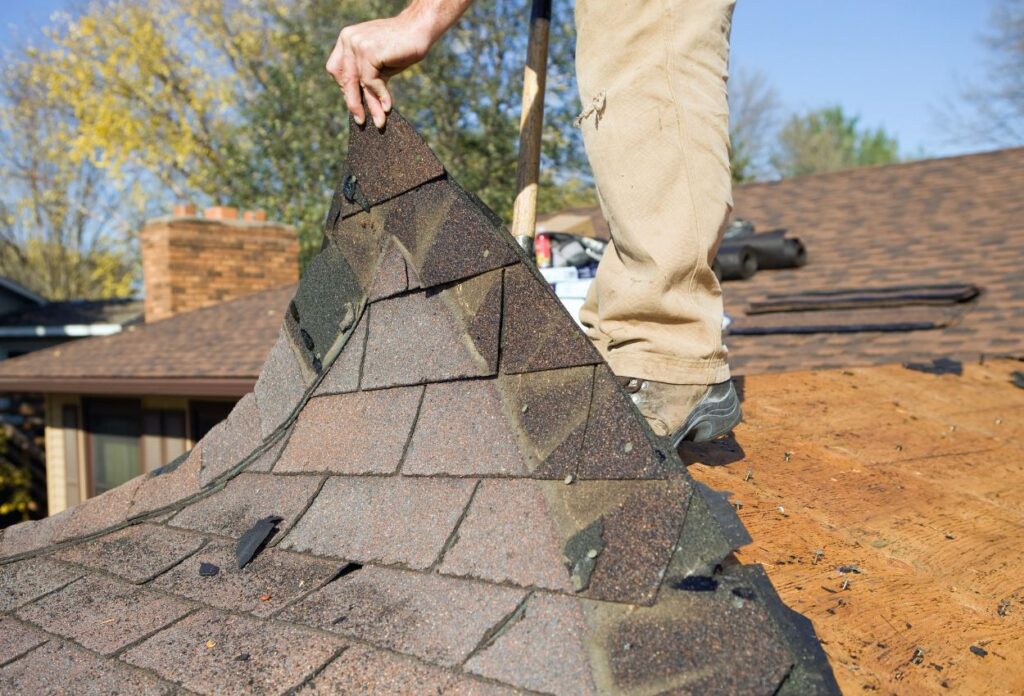 Roof Replacement 17