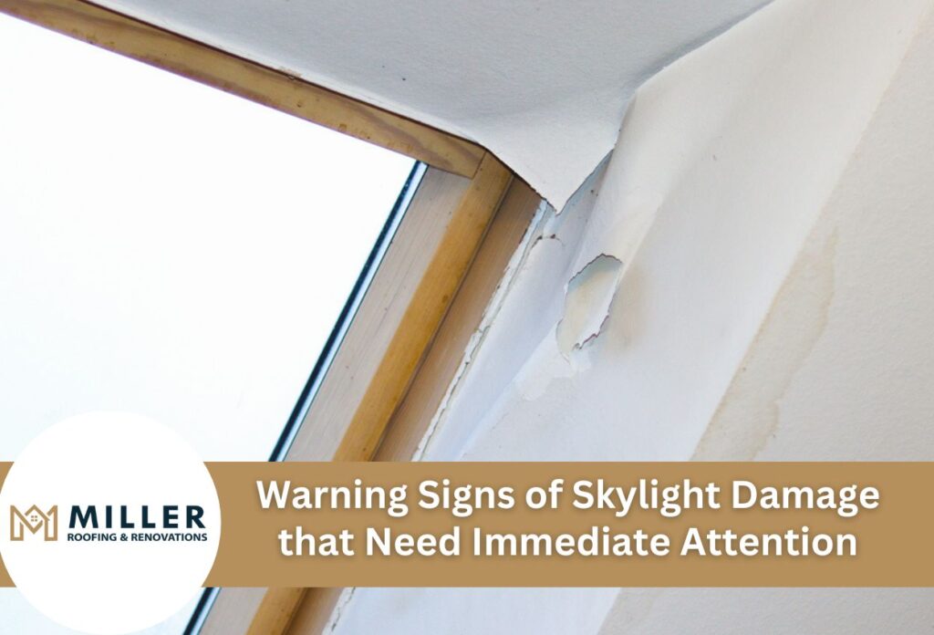 Warning Signs of Skylight Damage that Need Immediate Attention