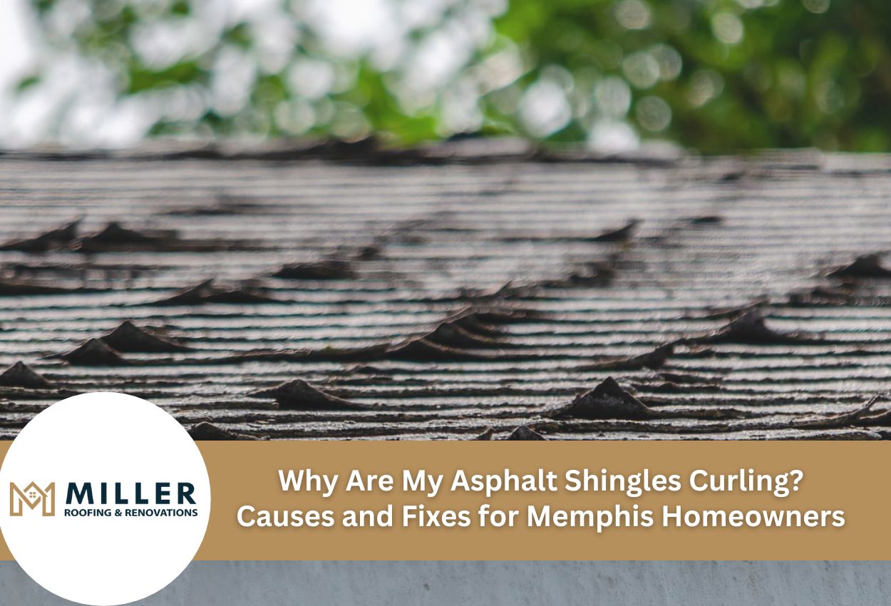 Why Are My Asphalt Shingles Curling? Causes and Fixes for Memphis Homeowners