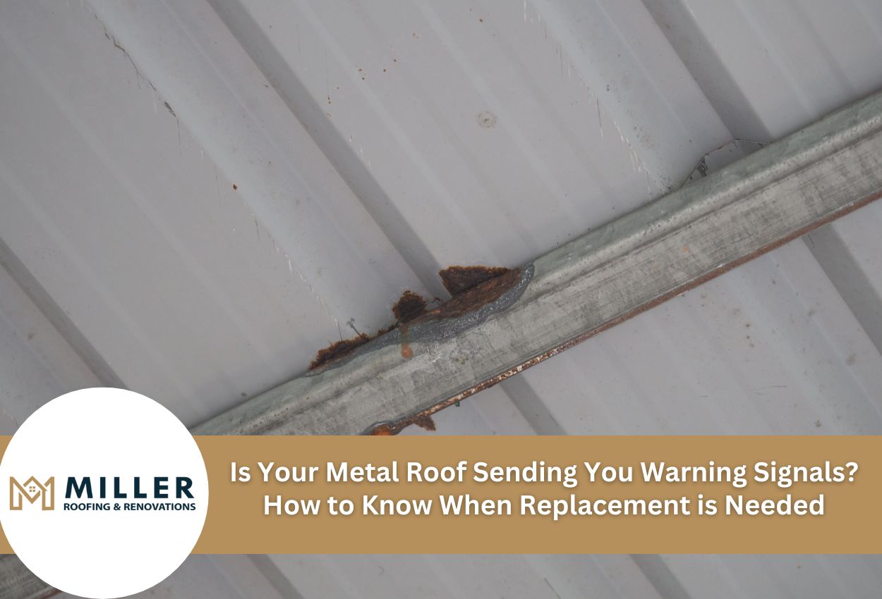 Is Your Metal Roof Sending You Warning Signals? How to Know When Replacement is Needed